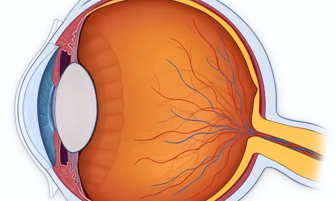 政策背景与目的