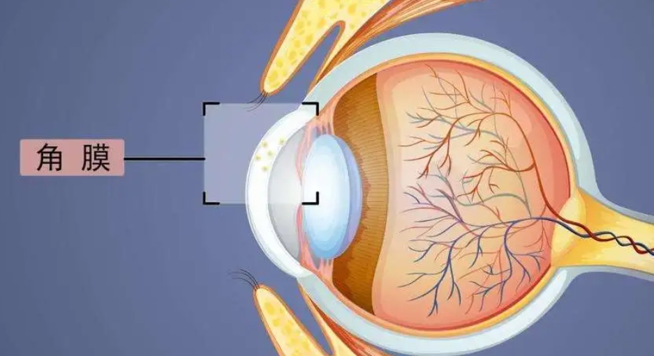 四、玉林爱尔眼科医院价格表｜学生近视矫正优惠情况