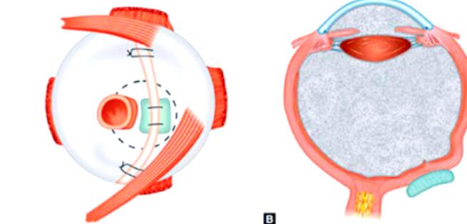 三、 为什么说段安丽医生是值得托付的“良心医生”？