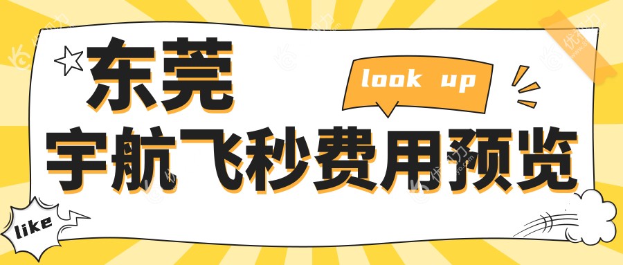 东莞宇航飞秒费用预览