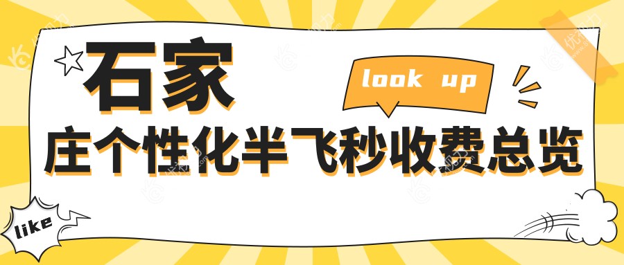 石家庄个性化半飞秒收费总览